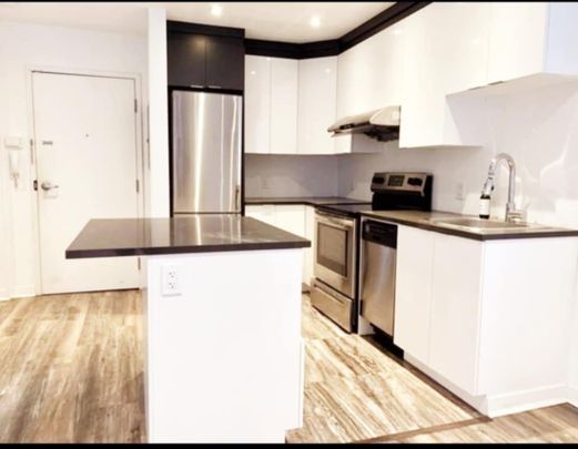 Appartement à Montréal (Le Sud-Ouest) - Photo 1