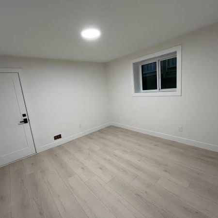 Brand New Spacious and bright 1 bedroom, 1-bathroom ground-level suite - Photo 3