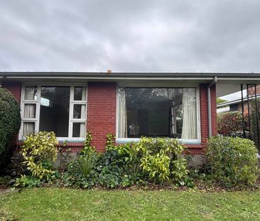 29 Roydvale Ave - Photo 3