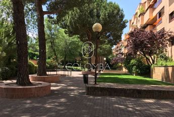 Luxury Apartment for rent in Madrid, Autonomous Region of Madrid