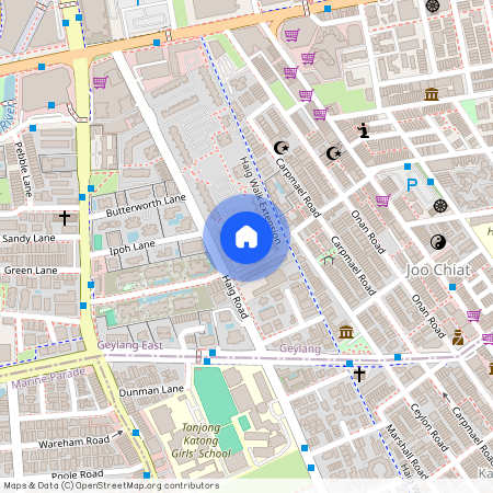 3 Haig Road (430003), Singapore