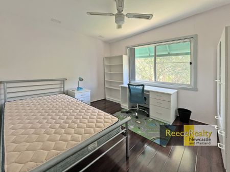 9 Lester Parade, North Lambton - Photo 4