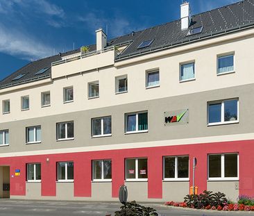 barrierefreie Wohnung in Heidenreichstein - Foto 3