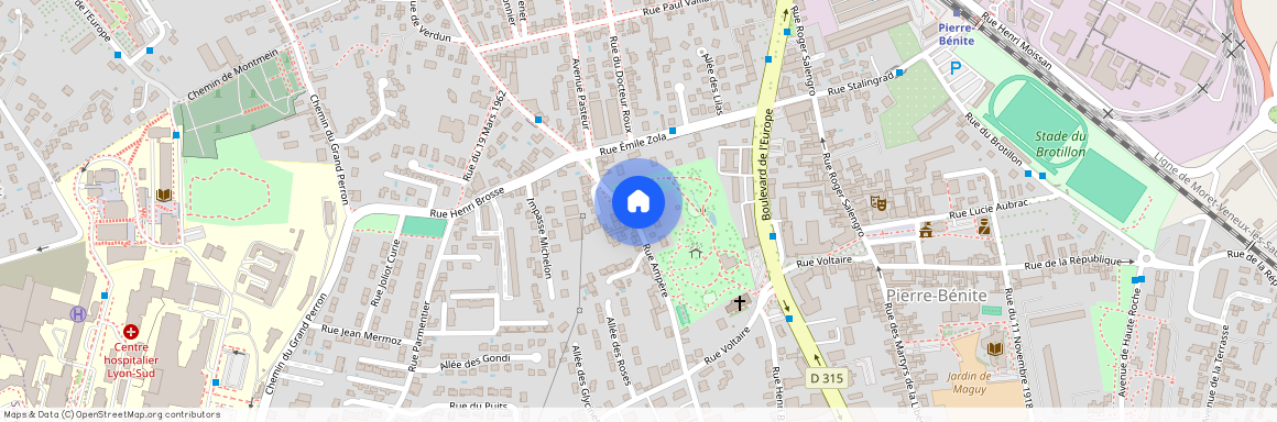 69310, Pierre-Bénite