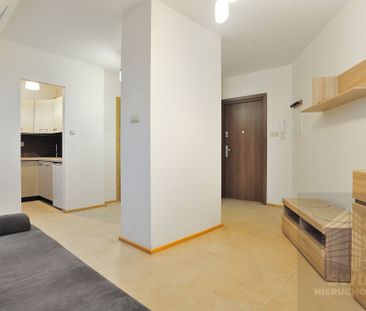 Kawalerka świeżo po remoncie - Zdjęcie 5