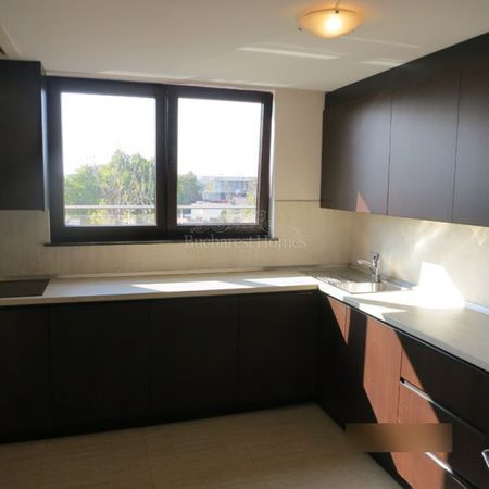 Four Bedroom Penthouse in Primaverii with Terrace - Photo 2
