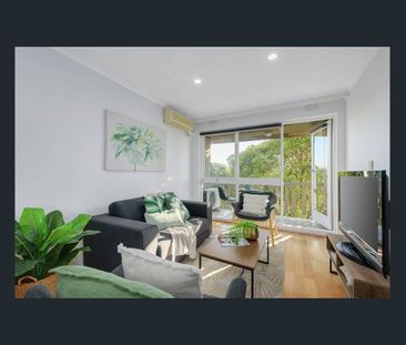 Sun-filled Apartment To Call Home - Photo 2