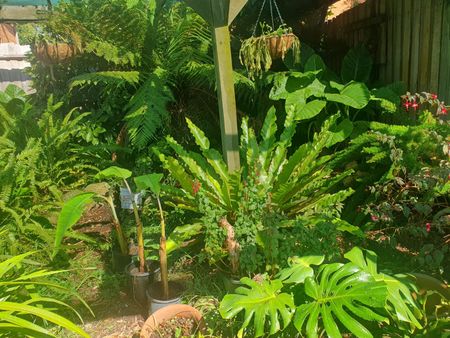 Craigieburn - Photo 3