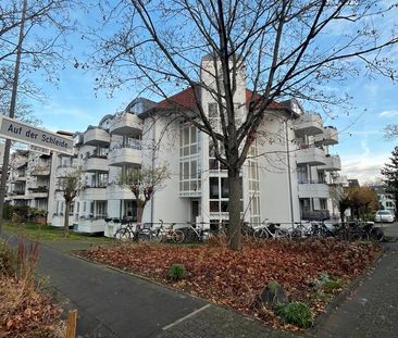 Charmante 1-Zimmer Wohnung in Beuel-Mitte - sofort verfügbar! - Foto 1