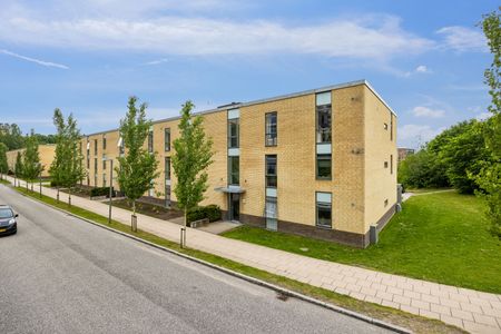 Overblikket 6, 2. mf. - Photo 2