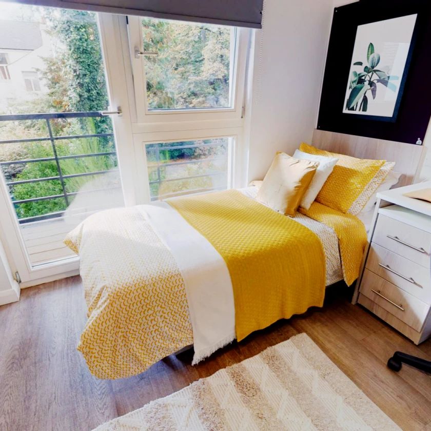 Gold Studio Plus - Photo 1