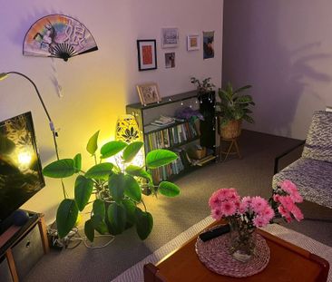 Dulwich Hill - Photo 6