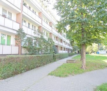 Warszawa Wola, Deotymy - Photo 3