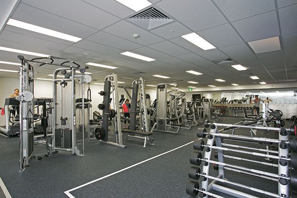 3 Carlton St, Chippendale NSW 2008 - Apartment For Rent | Domain - Photo 1