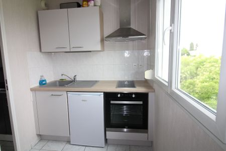 Location appartement 2 pièces, 48.80m², Châtenoy-le-Royal - Photo 2