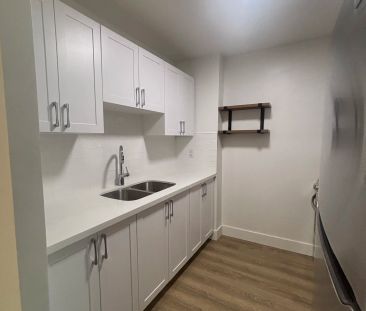 Fully renovated 1-bedroom — 106 - Photo 1