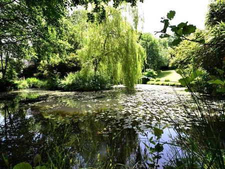 Ash Mill, South Molton, Devon, EX36 - Photo 2