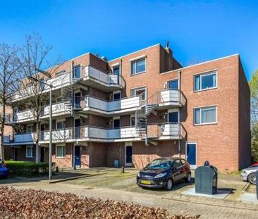Terneuzenstraat 6845 Arnhem - Foto 1