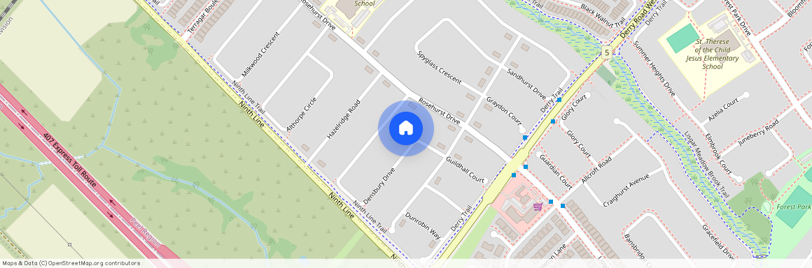 3702 Densbury Drive Unit# Basement, Mississauga