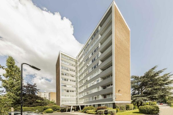 3 bedroom flat to rent - Photo 1