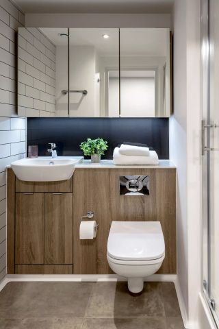 True Sky Studio Plus - Photo 5