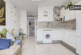 las_palmas_de_gran_canaria, Canary Islands 35010