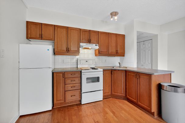 For Lease - 150 York Street Unit# 3A, Lower Town - Sandy Hill, Ontario - Photo 1