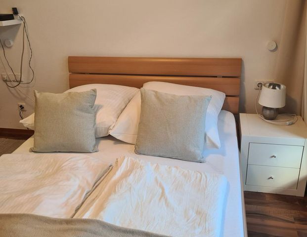 Neu Terrassen App. Mchn. HbH. 7 Gehminuten - Foto 1