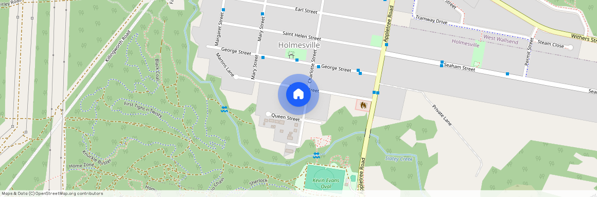 17 Charlotte Street, Holmesville NSW 2286