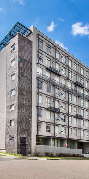 Beautiful Studio Apartment for Rent - All Bills Included - Photo 1