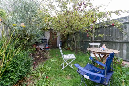 3 bedroom apartment to rent - Photo 5