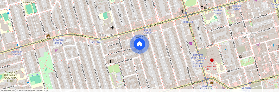 329 Manning Avenue, Toronto