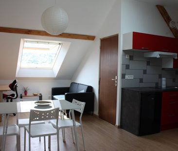 Location Appartement 1 pièce 18m² VILLERS LES NANCY 54600 - Photo 4