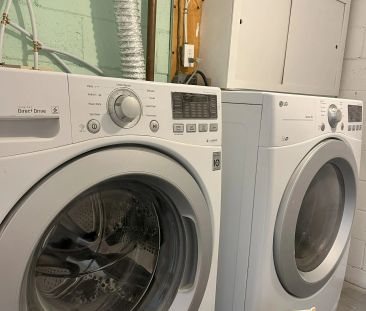 24 Dunboyne Court #Lower B - Photo 5