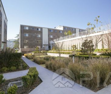 40/23-35 Crane Rd Castle Hill - Photo 1