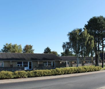 Orkidevej 1-19 - Kås - Photo 2