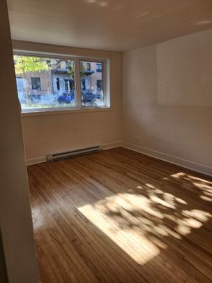 Très beau 4 1/2, Ave. Vitré Limoilou libre - Photo 1