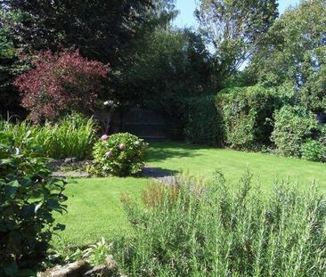 3 bedroom Bungalow to rent in Hereford HR2 - Photo 4