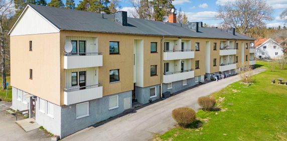 Getryggen, Grytgöl - Foto 2