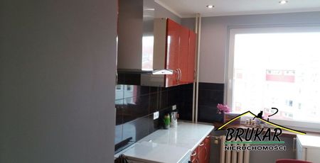 Opole, ZWM Mieszkanie na wynajem - Zdjęcie 3