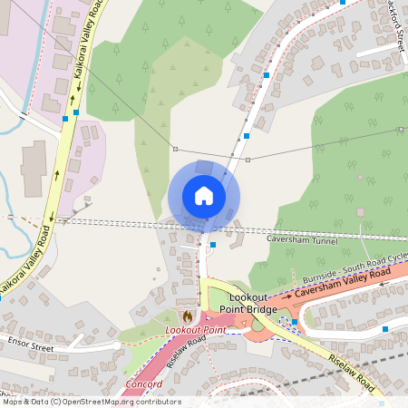 158 Mornington Road, 9011, Kenmure