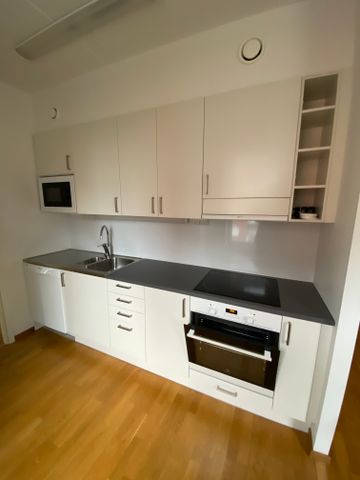 Albrektsvägen 161 - Photo 5