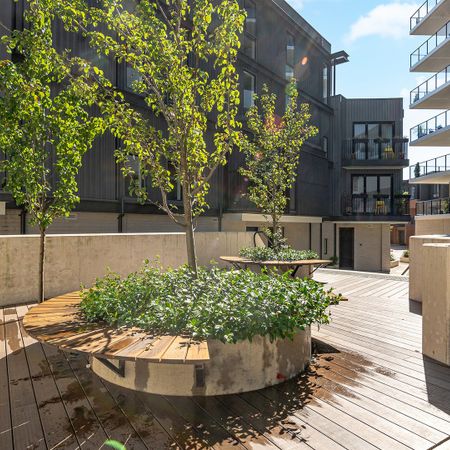 36/2 Torrens Street, Braddon ACT 2612 - Apartment For Rent | Domain - Photo 4