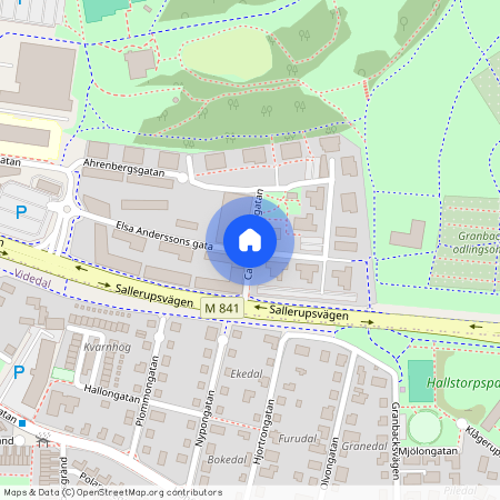 Carl Flormansgatan, Malmö