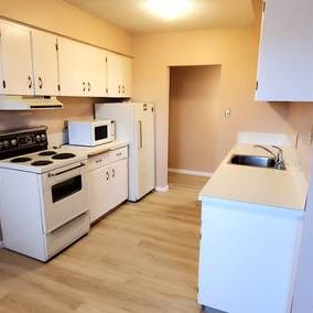 3 Bedrooms,large apartment! Amazing Location! Close to U of C! - Photo 2