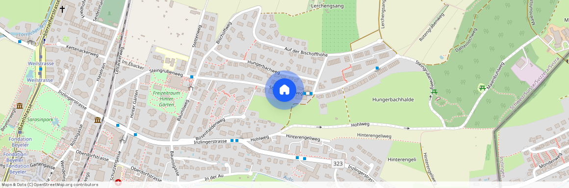 4125, Riehen, Steingrubenweg, 114