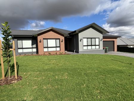 13 Alsace Place, Tamworth - Photo 5