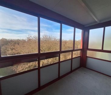 Gemütliche 2 Raum- Wohnung mit Wintergarten in idyllischer Wohnlage - Foto 5