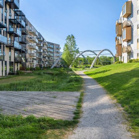 Lejligheder i Kværnloftet med stort køkkenalrum - Photo 3