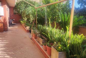 Monteverde Vecchio-Terrace: Furnished 2 Bedroom, 2 Bath, spacious kitchen, living, large private terrace and garden. Bright, silent, near shops, services and transport, located on a quite street in a well kept building. Possible parking. Ref 2375